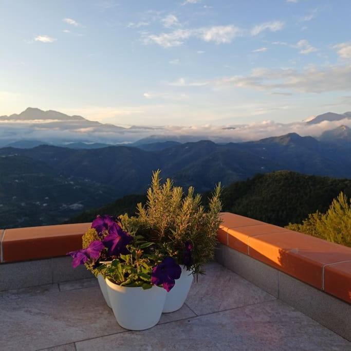 La Dimora Azzurra Villa Perinaldo Buitenkant foto
